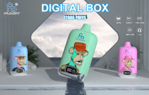 RandM Fumot Digital Box 12000