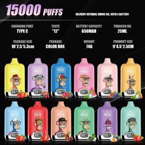 BANG BOX 15000