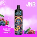JNR ALIEN 10000 Puff