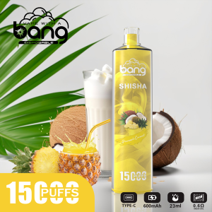 BANG Shisha 15000 Puff