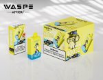WASPE Double Flavor 40000 PUFFS